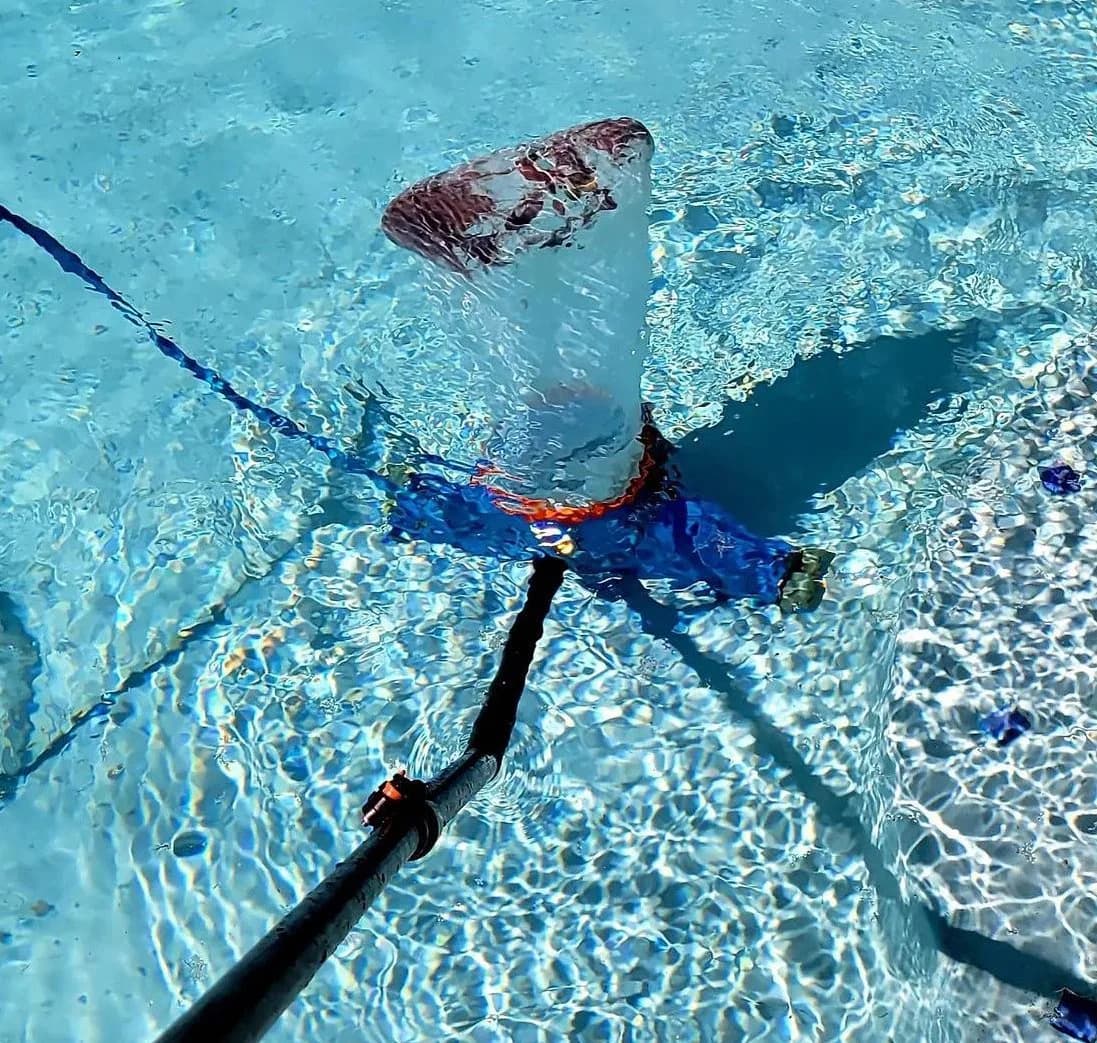 Pool filter cleaning